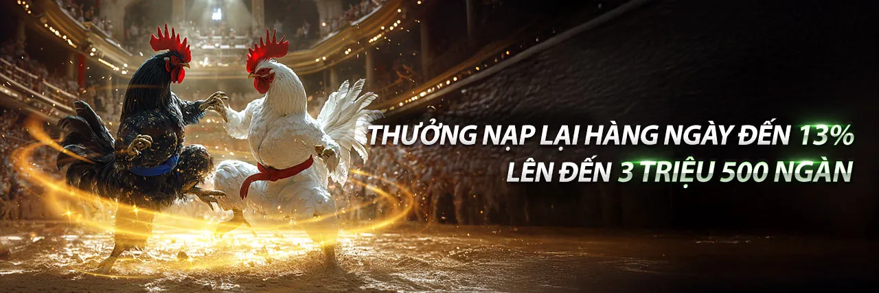 Hình nền đá gà 98 trực tuyến 98WIN8